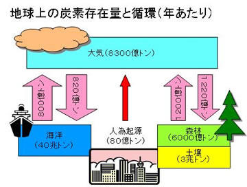 地球温暖化と海