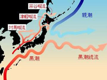 海と私たちの生活-見えないところでも、つながっている-