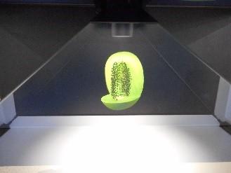 映像技術体験