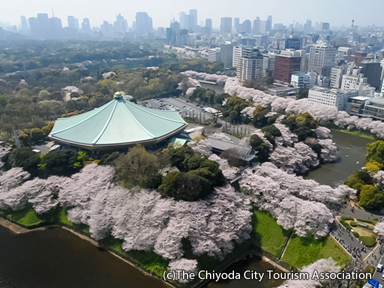 Nippon Budokan