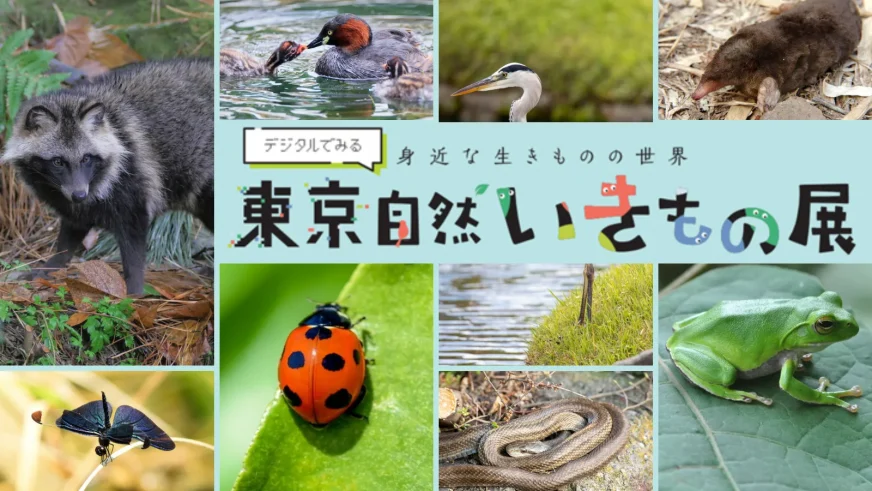 2026年1月24日(土)～2月23日(月・祝)