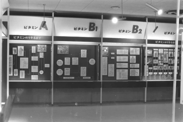 ビタミンのできるまで