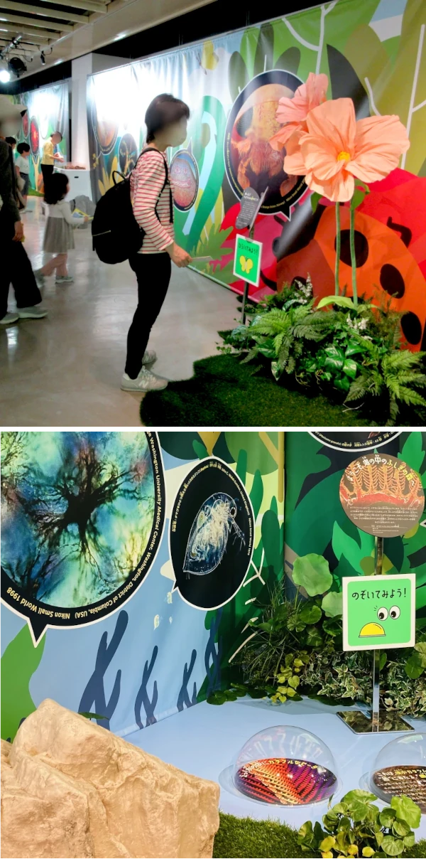 顕微鏡事業100周年特別展　『ミクロってなんだ？展』