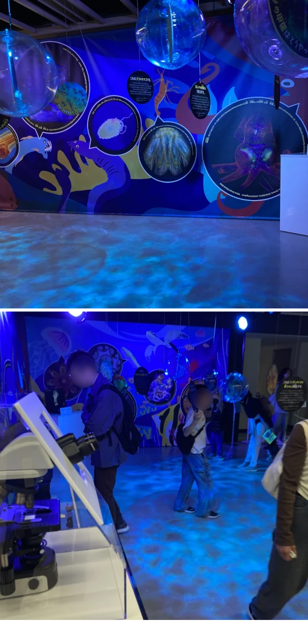 顕微鏡事業100周年特別展　『ミクロってなんだ？展』