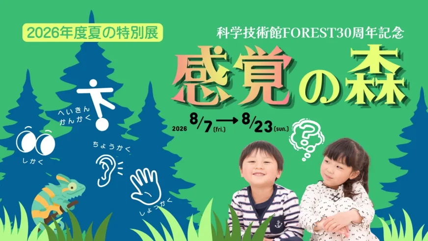 夏の特別展「感覚の森」